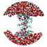 Career Option Biotechnology